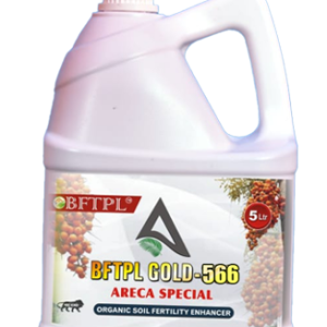 BFTPL GOLD 566 - ARECA & COCONUT SPECIAL