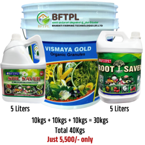 BFTPL Combo Offer