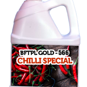BFTPL GOLD 566 - CHILLI SPECIAL