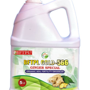 BFTPL GOLD 566 - GINGER SPECIAL