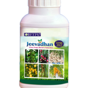 BFTPL GOLD 566 - JEEVADHAN