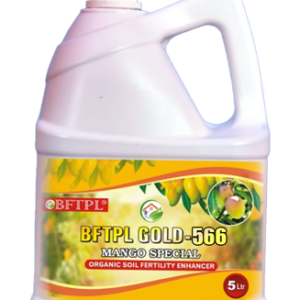BFTPL GOLD 566 - MANGO SPECIAL