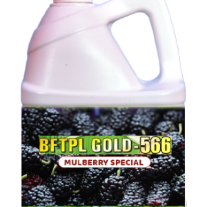 BFTPL GOLD-566, MULBERRY SPECIAL