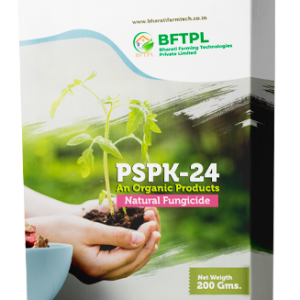 PSPK 24