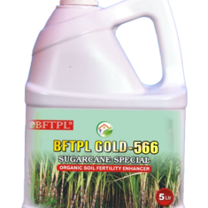 BFTPL GOLD 566 - SUGARCANE SPECIAL