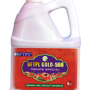 BFTPL GOLD 566 - TOMATO SPECIAL