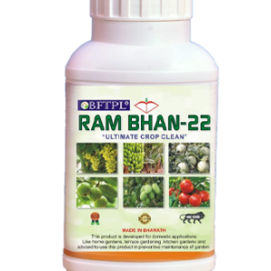 BFTPL GOLD 566 - RAM BHAN-22